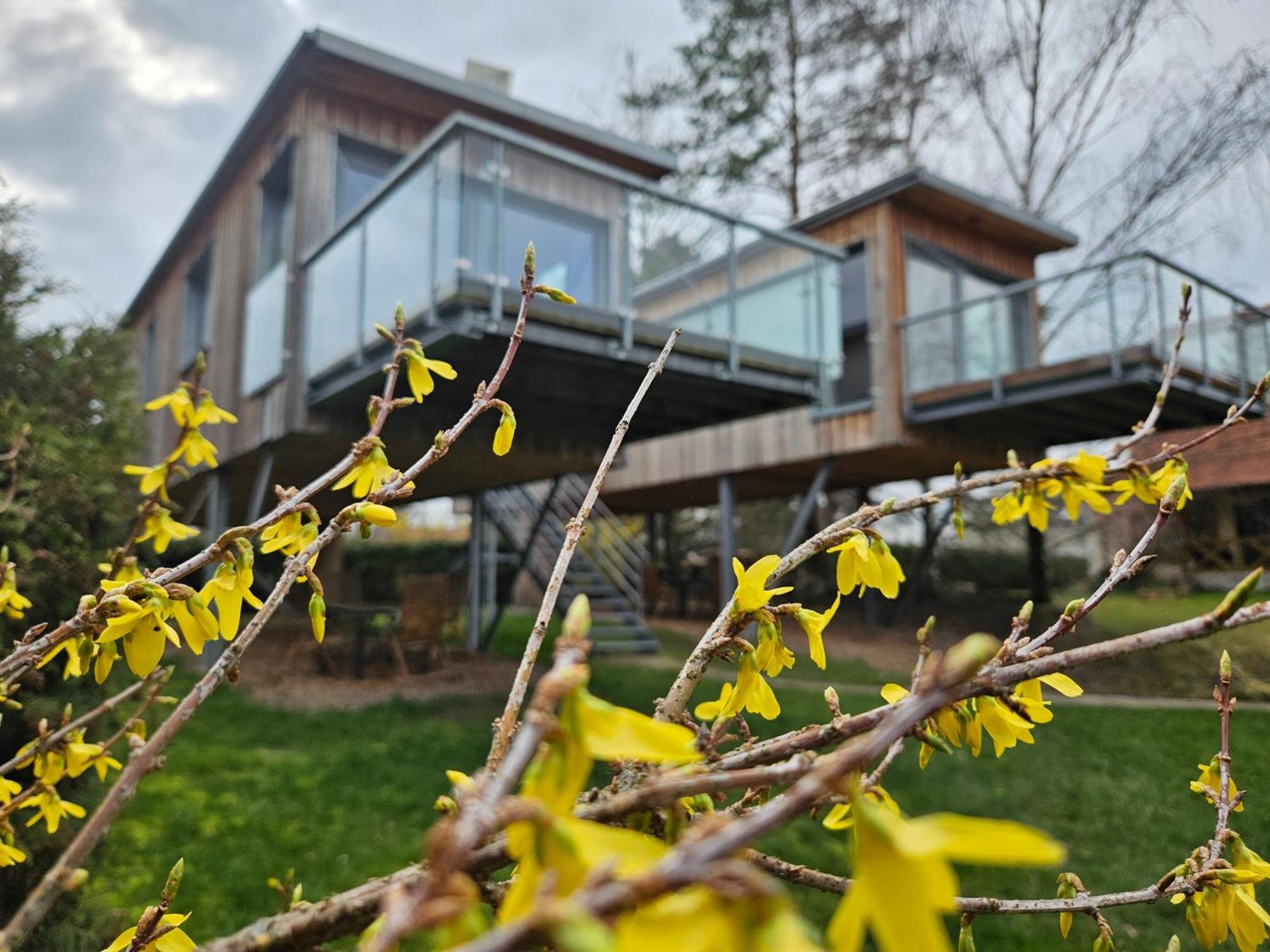 Baumhaus Und Tinyhaus Villa Mühlhausen Екстериор снимка