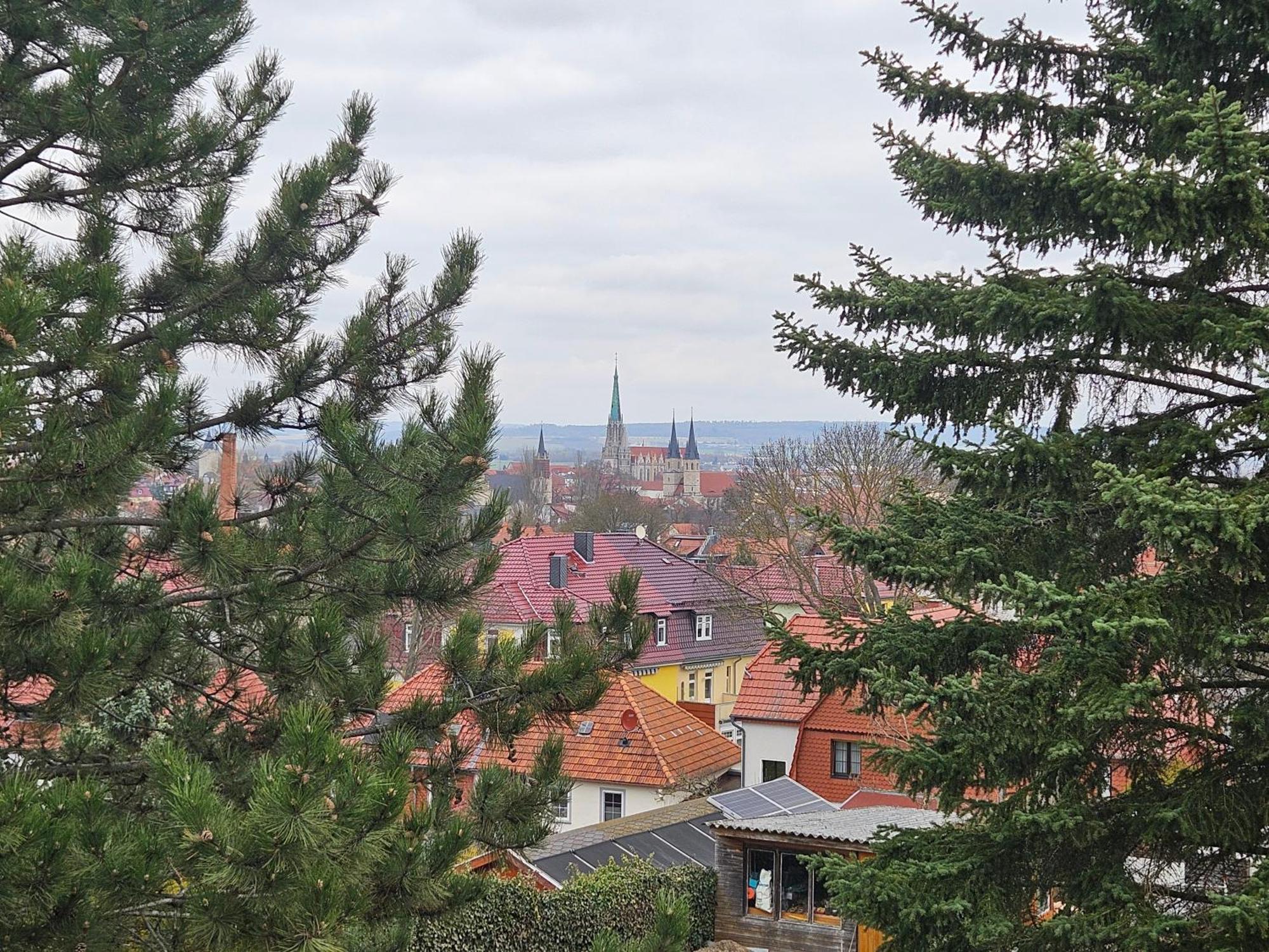 Baumhaus Und Tinyhaus Villa Mühlhausen Екстериор снимка