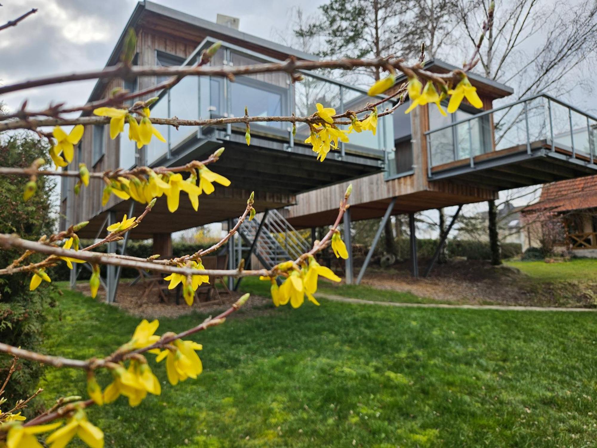 Baumhaus Und Tinyhaus Villa Mühlhausen Екстериор снимка