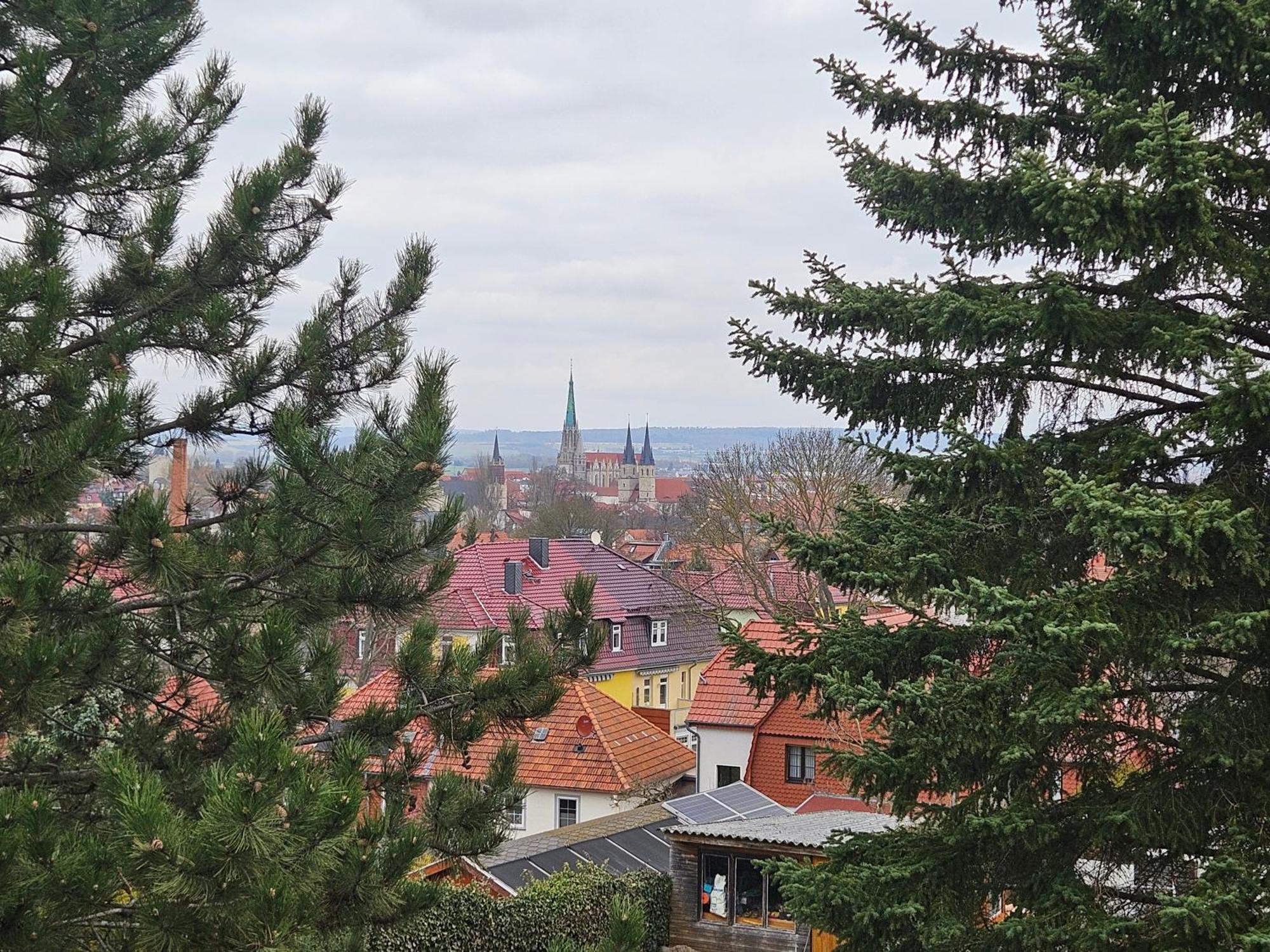 Baumhaus Und Tinyhaus Villa Mühlhausen Екстериор снимка